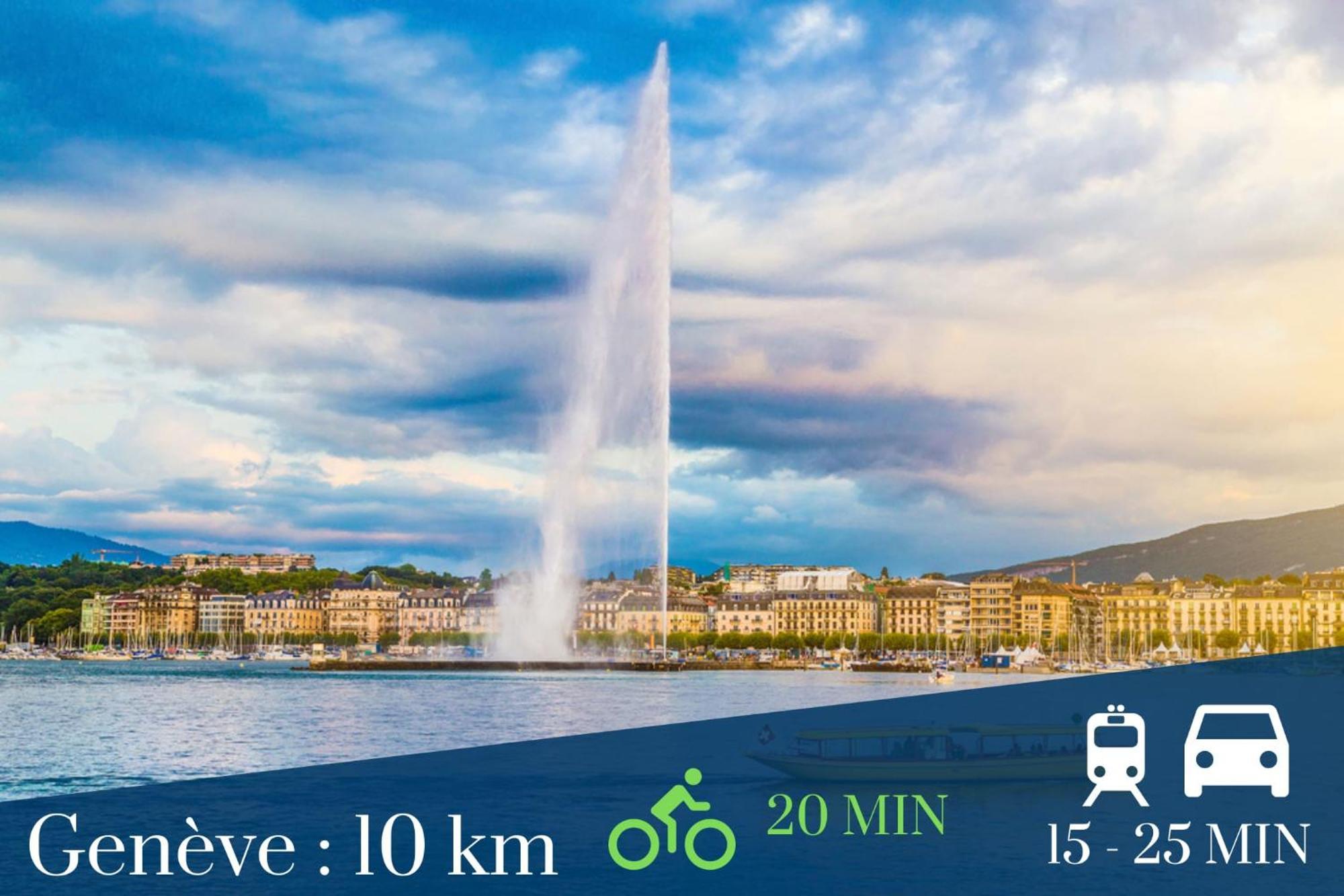 Homey Keola - Parking Prive Gratuit - Aux Portes De Geneve - Au Pied Du Tram - Appartement Avec 1 Chambre Et Un Grand Salon Avec Un Canape-Lit Ambilly Zewnętrze zdjęcie